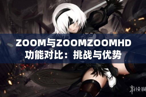ZOOM与ZOOMZOOMHD功能对比：挑战与优势