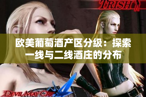 欧美葡萄酒产区分级：探索一线与二线酒庄的分布