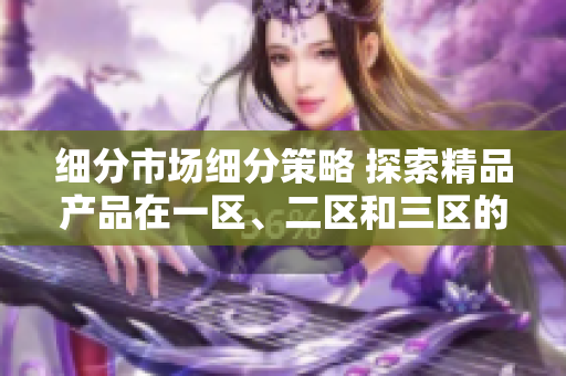 细分市场细分策略 探索精品产品在一区、二区和三区的市场定位