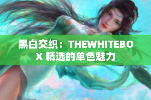 黑白交织：THEWHITEBOX 精选的单色魅力
