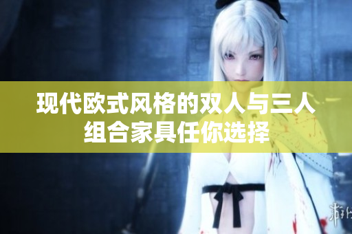 现代欧式风格的双人与三人组合家具任你选择