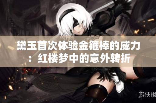 黛玉首次体验金箍棒的威力：红楼梦中的意外转折