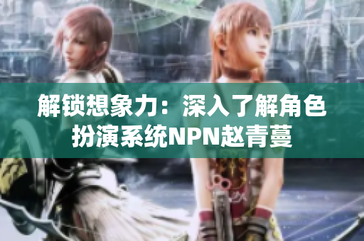 解锁想象力：深入了解角色扮演系统NPN赵青蔓