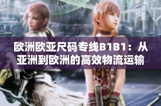 欧洲欧亚尺码专线B1B1：从亚洲到欧洲的高效物流运输通道