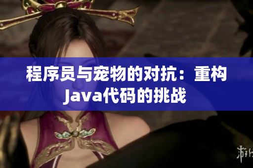 程序员与宠物的对抗：重构Java代码的挑战