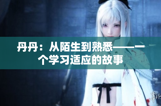 丹丹：从陌生到熟悉——一个学习适应的故事