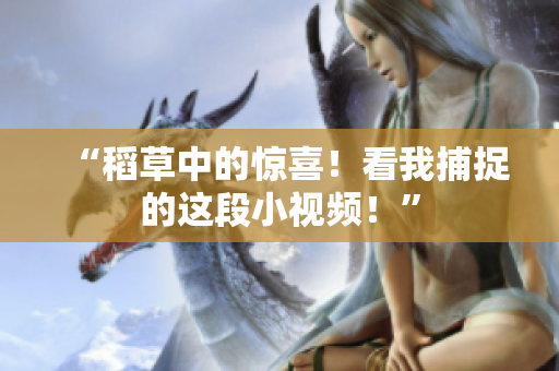 “稻草中的惊喜！看我捕捉的这段小视频！”