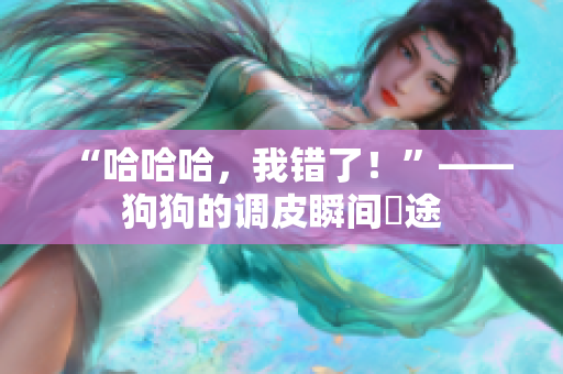 “哈哈哈，我错了！”——狗狗的调皮瞬间囧途