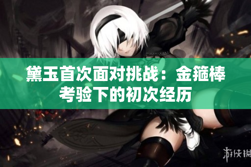 黛玉首次面对挑战：金箍棒考验下的初次经历