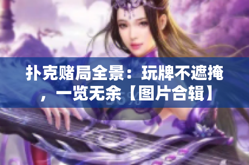 扑克赌局全景：玩牌不遮掩，一览无余【图片合辑】