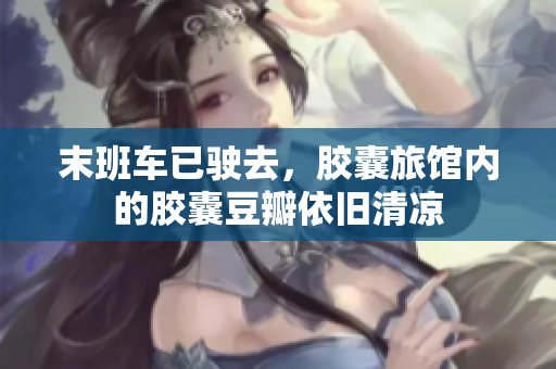 末班车已驶去，胶囊旅馆内的胶囊豆瓣依旧清凉