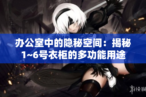 办公室中的隐秘空间：揭秘1~6号衣柜的多功能用途
