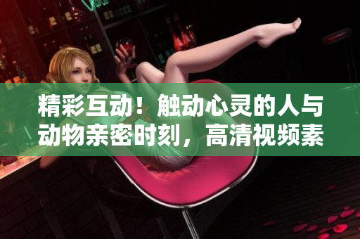 精彩互动！触动心灵的人与动物亲密时刻，高清视频素材免费获取