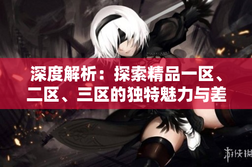 深度解析：探索精品一区、二区、三区的独特魅力与差异