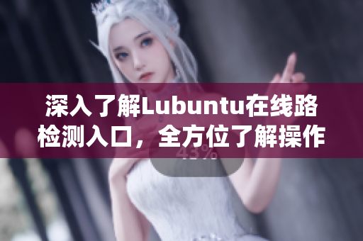 深入了解Lubuntu在线路检测入口，全方位了解操作系统状态