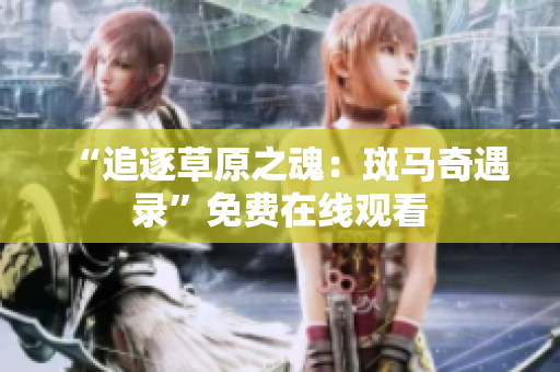 “追逐草原之魂：斑马奇遇录”免费在线观看