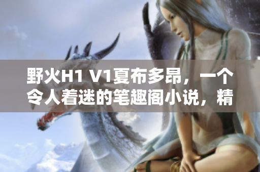 野火H1 V1夏布多昂，一个令人着迷的笔趣阁小说，精彩纷呈。