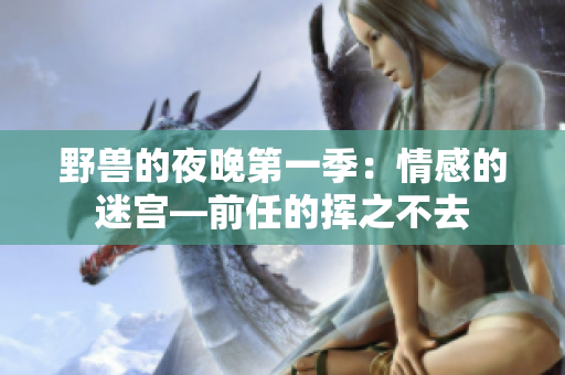 野兽的夜晚第一季：情感的迷宫—前任的挥之不去