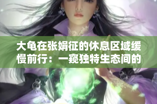 大龟在张娟征的休息区域缓慢前行：一窥独特生态间的亲密接触