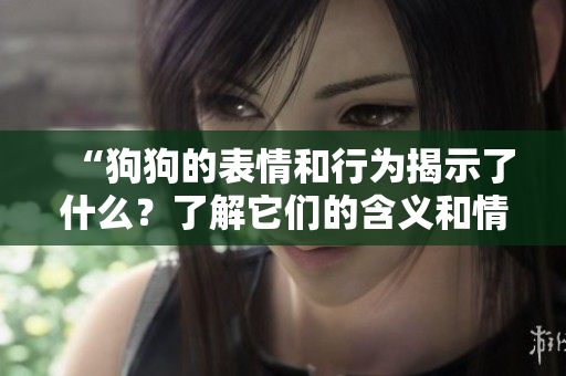 “狗狗的表情和行为揭示了什么？了解它们的含义和情感”