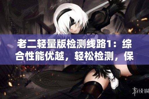 老二轻量版检测线路1：综合性能优越，轻松检测，保障安全