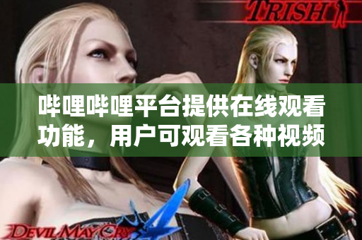 哔哩哔哩平台提供在线观看功能，用户可观看各种视频内容