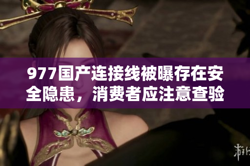 977国产连接线被曝存在安全隐患，消费者应注意查验购买