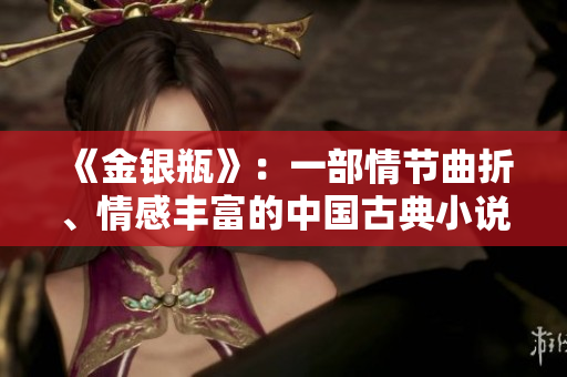 《金银瓶》：一部情节曲折、情感丰富的中国古典小说【续写至第51996回】