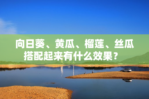 向日葵、黄瓜、榴莲、丝瓜搭配起来有什么效果？ 