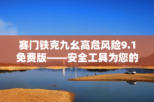 赛门铁克九幺高危风险9.1免费版——安全工具为您的电脑保驾护航
