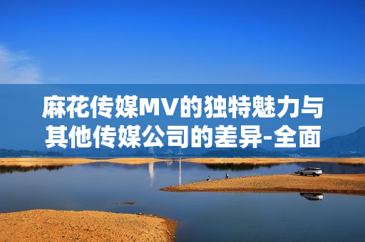 麻花传媒MV的独特魅力与其他传媒公司的差异-全面比较