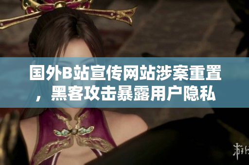 国外B站宣传网站涉案重置，黑客攻击暴露用户隐私
