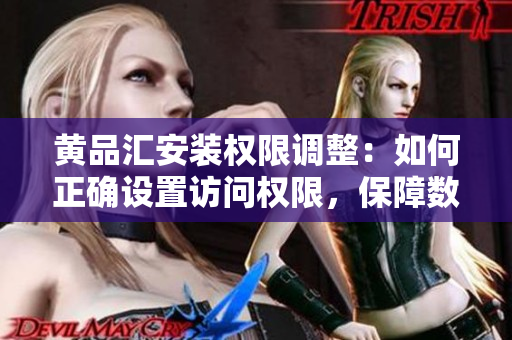 黄品汇安装权限调整：如何正确设置访问权限，保障数据安全？
