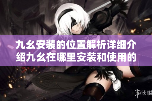 九幺安装的位置解析详细介绍九幺在哪里安装和使用的方法