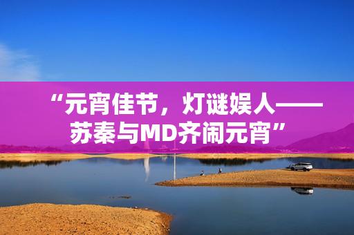 “元宵佳节，灯谜娱人——苏秦与MD齐闹元宵”