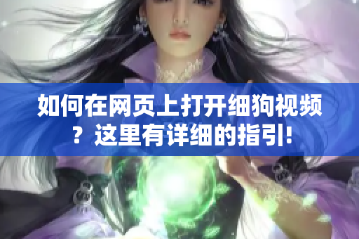 如何在网页上打开细狗视频？这里有详细的指引!