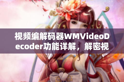 视频编解码器WMVideoDecoder功能详解，解密视频编码技术