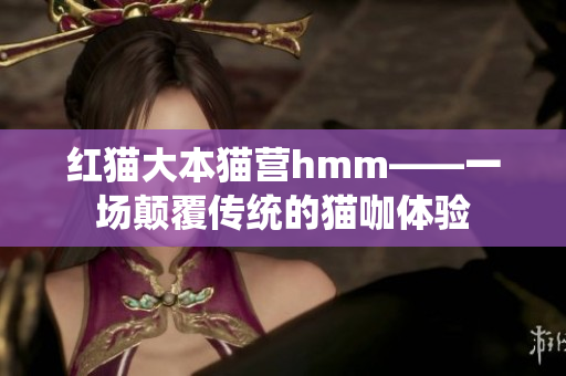红猫大本猫营hmm——一场颠覆传统的猫咖体验