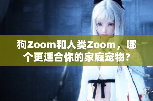 狗Zoom和人类Zoom，哪个更适合你的家庭宠物？