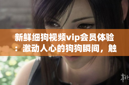 新鲜细狗视频vip会员体验：激动人心的狗狗瞬间，触手可及的精彩时刻