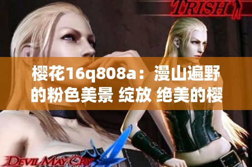 樱花16q808a：漫山遍野的粉色美景 绽放 绝美的樱花盛宴