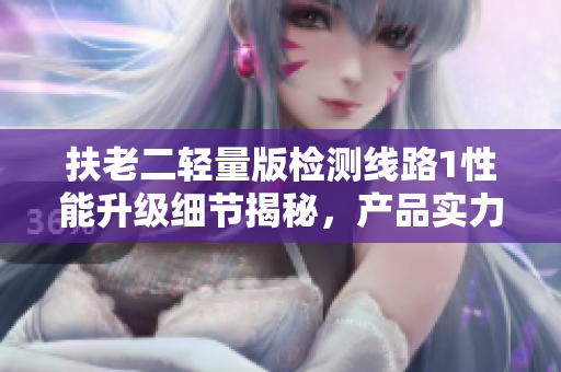 扶老二轻量版检测线路1性能升级细节揭秘，产品实力大揭秘