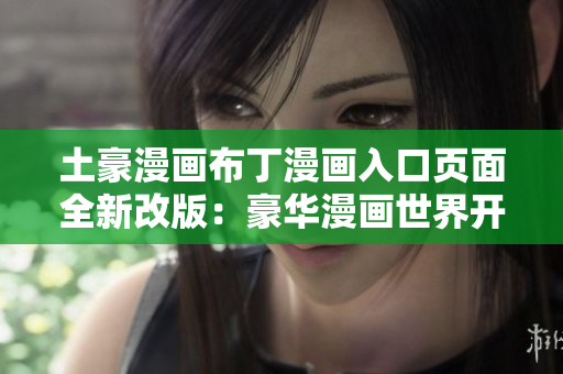 土豪漫画布丁漫画入口页面全新改版：豪华漫画世界开启
